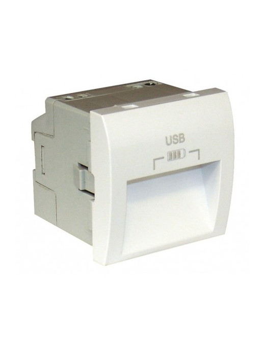 CARREG DUPLO USB SAÍDAS 20° TIPO A - 2 MÓD AL