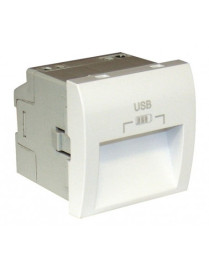 CARREG DUPLO USB SAÍDAS 20° TIPO A - 2 MÓD BM