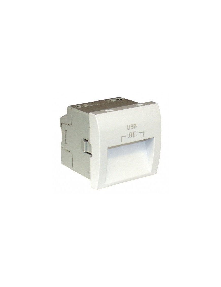 CARREG DUPLO USB SAÍDAS 20° TIPO A - 2 MÓD BR