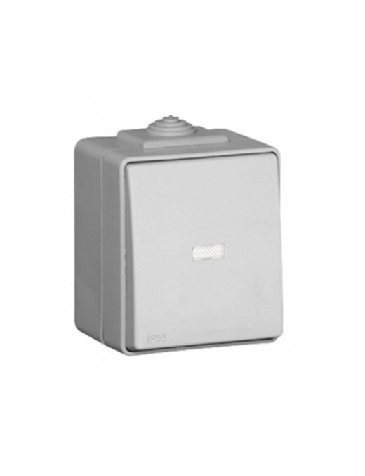 BOTÃO BASCULANTE LUMINOSO DE 250V~ BRANCO