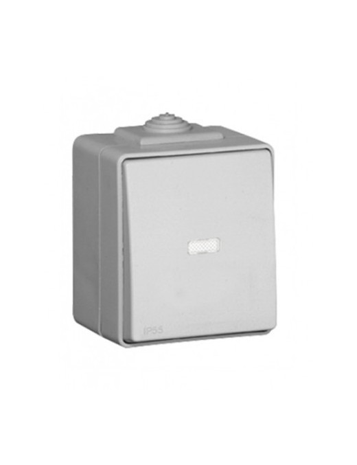 BOTÃO BASCULANTE LUMINOSO DE 12V CINZENTO