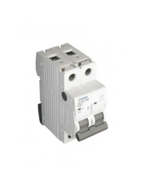 DISJUNTOR MT - 2P - 10KA - B - 63A