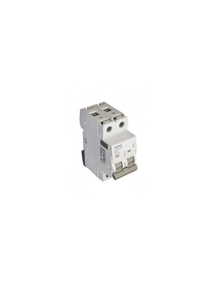 INTERRUPTOR - 2P - 250/415V~ - 100A