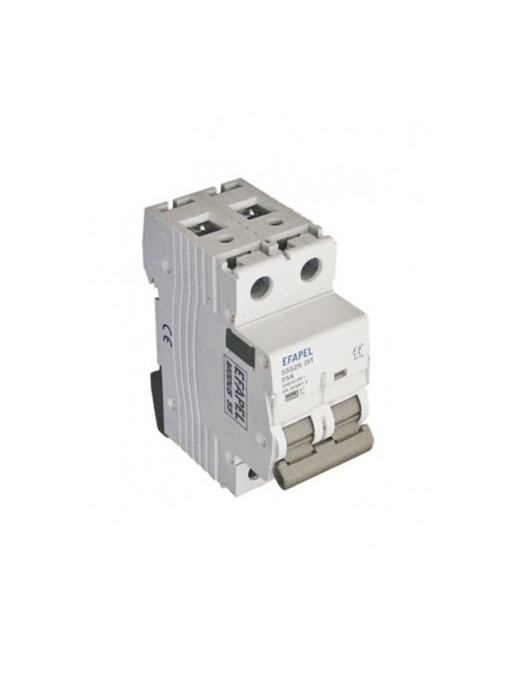 INTERRUPTOR - 2P - 250/415V~ - 25A