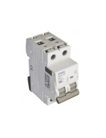 INTERRUPTOR - 2P - 250/415V~ - 40A