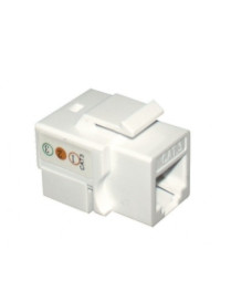 CONETOR RJ11 CAT. 3